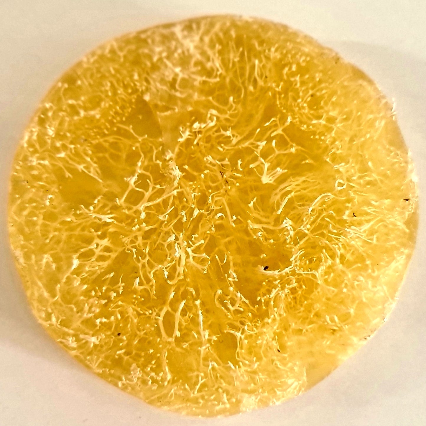 Pumpkin Fiber Donkey Milk Soap